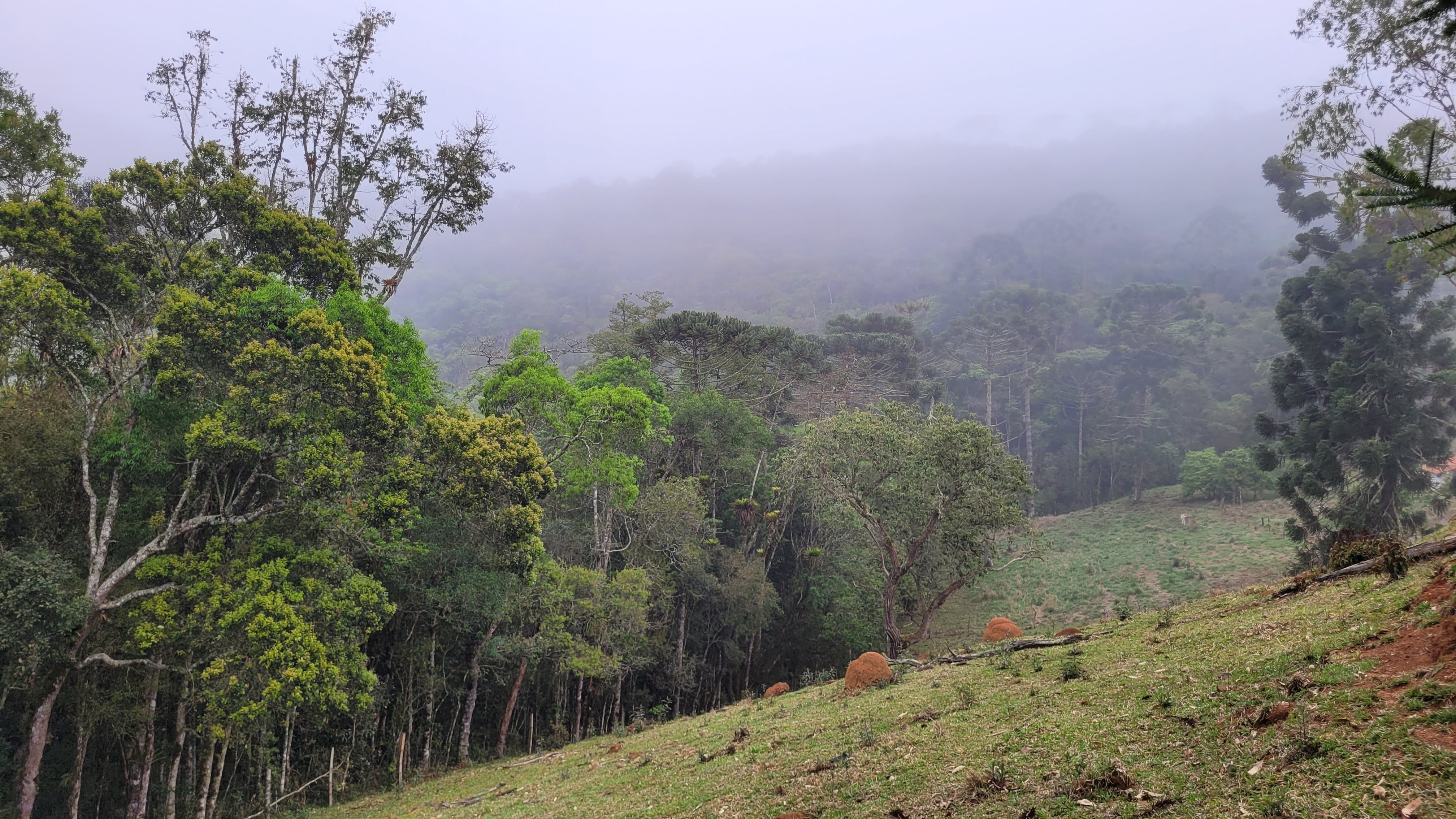 Imagem Ilustrativa de Exemplo de Banner